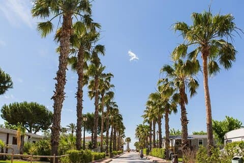 Traslado Privado desde el Aeropuerto de Barcelona a Coma-ruga