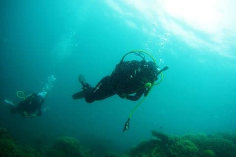 Viaje De Buceo En Sharks Bay