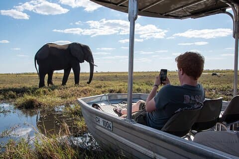 Excursion d'une journée à Chobe