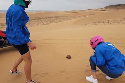 Essaouira P17: Quad ride dunes beaches free transfer.