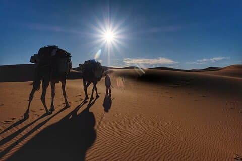 7 Days Sahara Desert Wonders Trek från Marrakech till M'Hamid