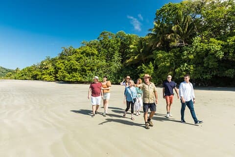 2 Day Great Barrier Reef, Daintree Rainforest & Cape Tribulation