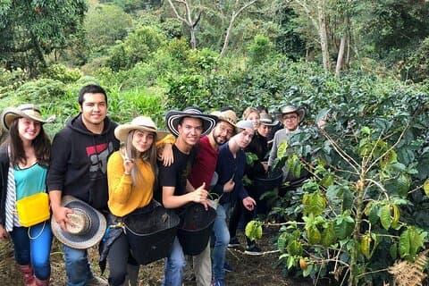 Cocora Valley, Salento und Tagestour zur Kaffeefarm