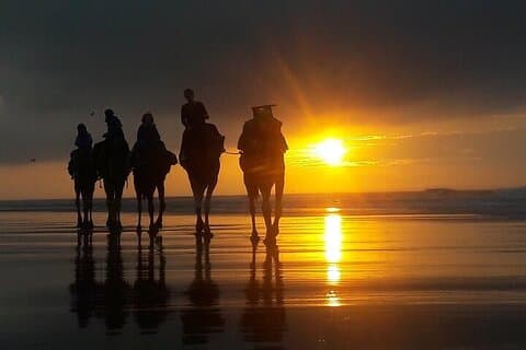 Essaouira P12: 1h Quad bike tour and 1h dromedary Ride