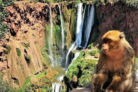 Ouzoud Falls Privédagtrip vanuit Marrakech