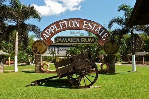 Tour combinato di Appleton Rum Estate e YS Falls