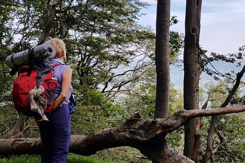 Caminata privada de día completo en el Parque Nacional Foreste Casentinesi