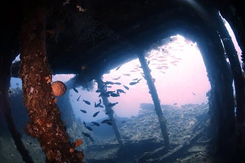 Prøv dykking i Tulamben - Shipwreck