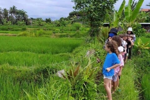 TOUR DE PUEBLO Y CAMPOS DE ARROZ TREKKING Jambangan Bali