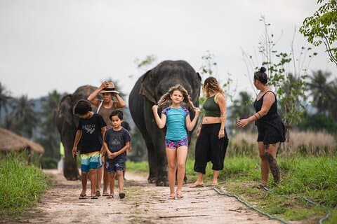 Elephant Jungle Sanctuary: Halvdags morgenprogram