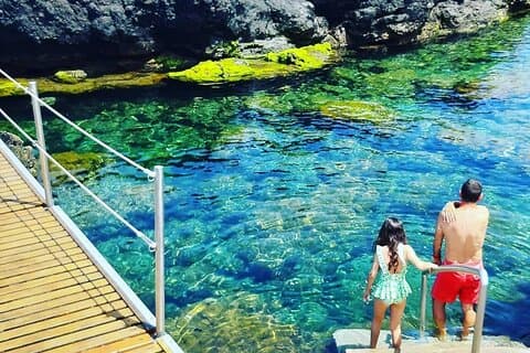 West Coast Van Tour (Half Day) | Terceira Island