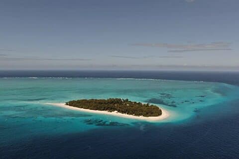 Mnemba Dolphin Tour, Kuza Cave, Paje Beach, The Rock Restaurant, Jozani Forest