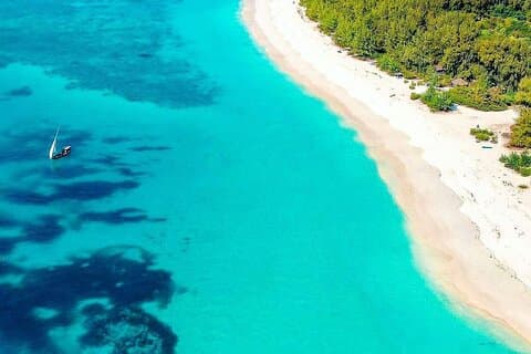 Mnemba Dolphin Tour; Spice Tour with Lunch; Prison Island Tour