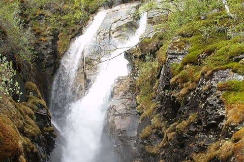 Tour zum Nationalpark Abisko