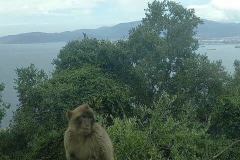 Gibraltar, Mijas and Marbella Private Tour From Malaga Province