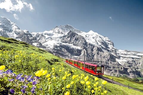 Visite panoramique de Jungfrau, au sommet de l'Europe avec Skyglass Roof Bus