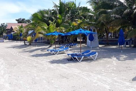 Negril 7 Miles Beach og Rick's Cafe Tour