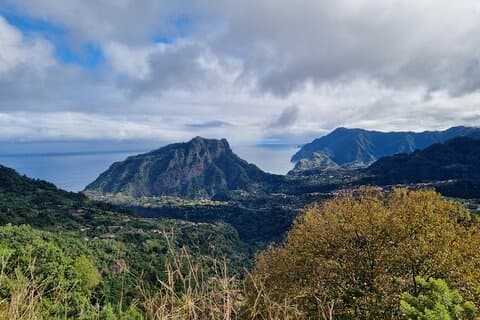 5 Hours Private Tour to Santana, Thatched houses