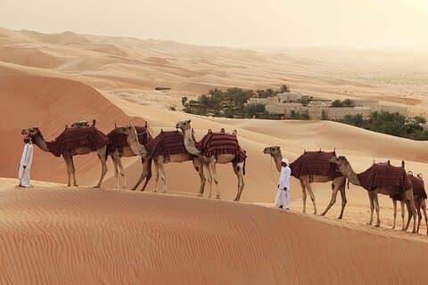4 horas Dubai Morning Privado 4x4 Jeep Only Dunes Drive Camel Ride