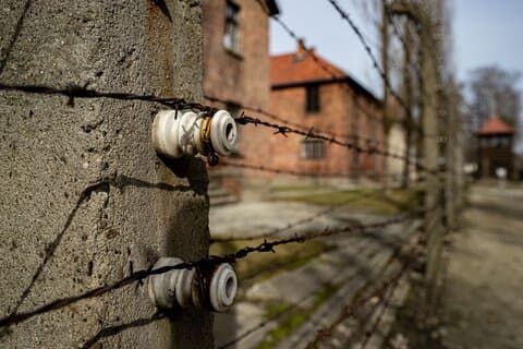 De Cracovie : Visite d'Auschwitz-Birkenau avec Lunch Box et Pick-up