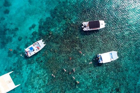 Privat katamaran til Catalina Island med frokost og snorkling