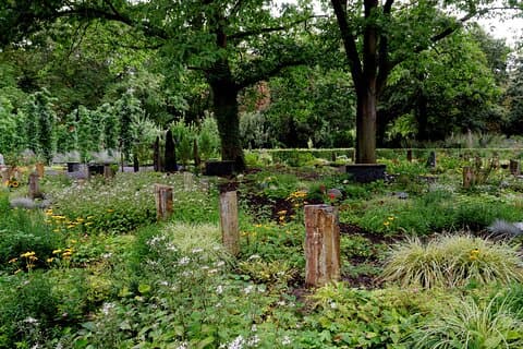 Visita guiada privada al cementerio de Colonia Melaten y al casco antiguo