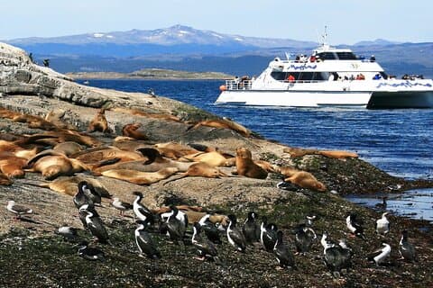 Navigatie naar Beagle Channel en Sea Lions Island met transfers