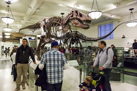 Visite privée en famille du musée d'histoire naturelle de Washington DC