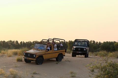Dubai: Morning Heritage Safari by Vintage G Class & Al Marmoom Oasis