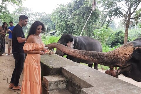 Guided round tour in srilanka