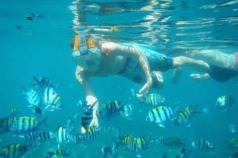 Blue Lagoon Snorkling Kanto Lampo och Tegenungan Waterfall Tour