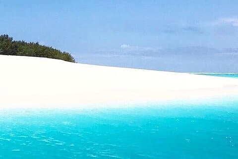 Mnemba Dolphin Tour; Stone Town Tour; Spice Tour com almoço