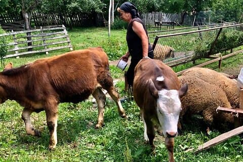 Original Carpathian Village Experience and Sinaia in one day tour