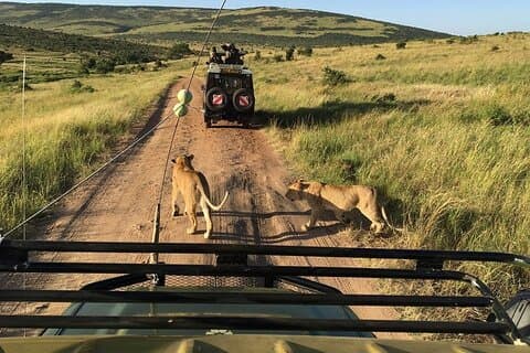3-daagse privétour in Masai Mara National Reserve