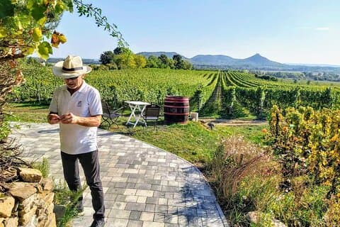 Degustazione privata di vini del Lago Balaton e tour di Tihany da Budapest