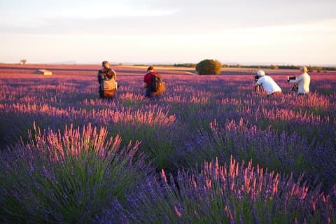 Tour de lavanda al atardecer desde Aix-en-Provence