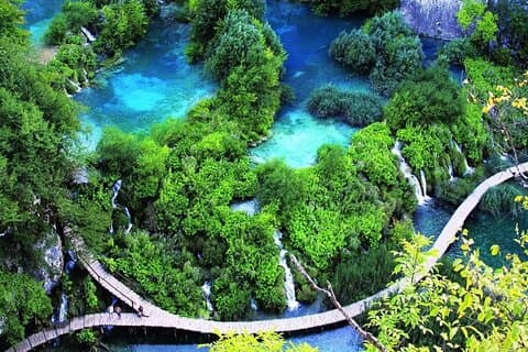 Bach Ma National Park Natursightseeing & Trekking Day Tour