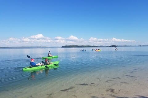 Guidad ekotur i kajak i Beautiful Shell Key Preserve