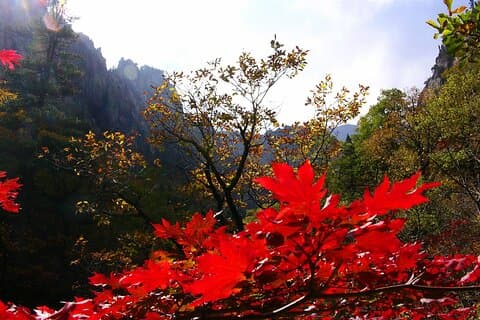 2 - days Mt Seorak PRIVATE TOUR : ウルサンバウィハイキング＆東海＆ナミ
