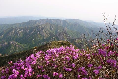 2 dages privat tur: Mt Seorak & Naksansa Temple & Nami Island 'fra Seoul'
