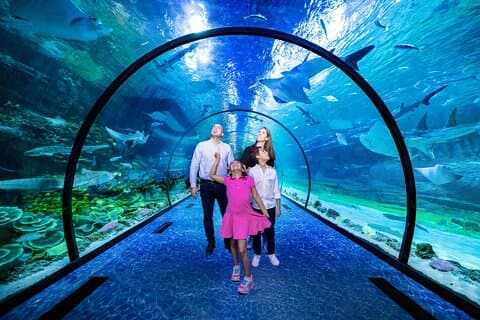Abu Dhabi National Aquarium-billett