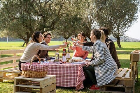 2-Hour Picnic among the Olive Trees with Typical Abruzzese Products