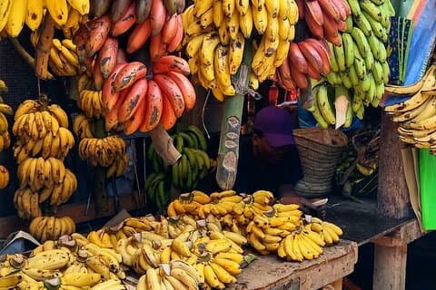 Spice Tour; Stone Town; Le Saint Tropez; Baraka Aquarium; Kendwa