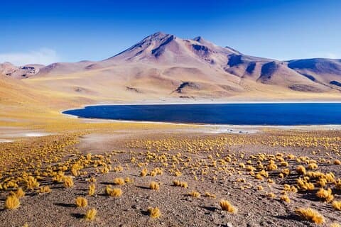 Altiplanische Lagunen und Piedras Rojas