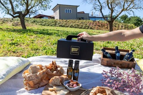 Privépicknick bij de Frantoio tussen natuur en lekker eten