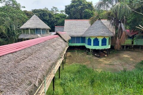 Esplorazioni della fauna selvatica dell'Amazzonia 3 giorni 2 notti