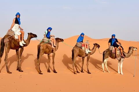 Excursion depuis Ouarzazate à vallee Du Drâa et Dunes De Tinfou