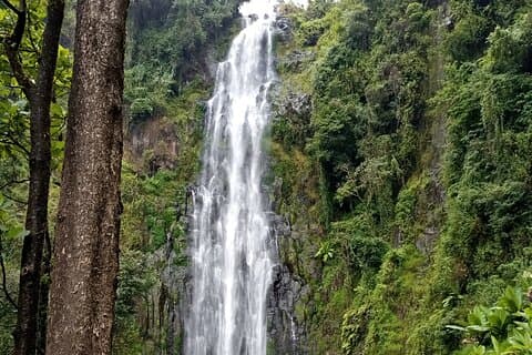 Private Tour to Materuni waterfalls, coffee tour & Kikuletwa hot- springs