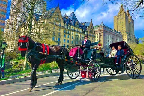 VIP Central Park Experience Tour met foto's 50min~Skip the line