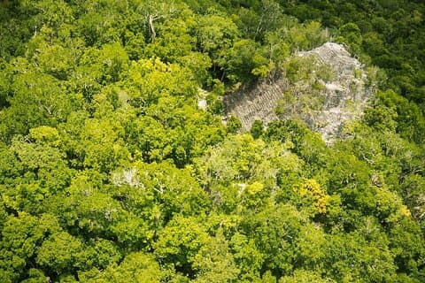 Hubschrauberrundflug El Mirador La Danta von Flores